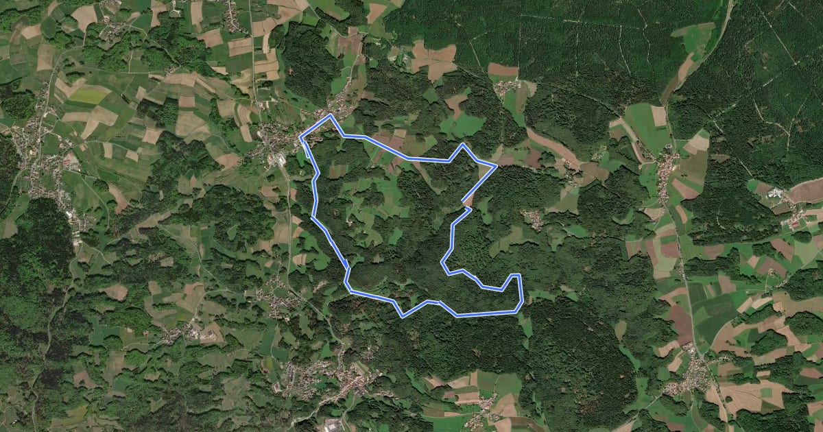 Маршрут Bärnfels Rundwanderweg Leienfelser Wald на спутниковом снимке