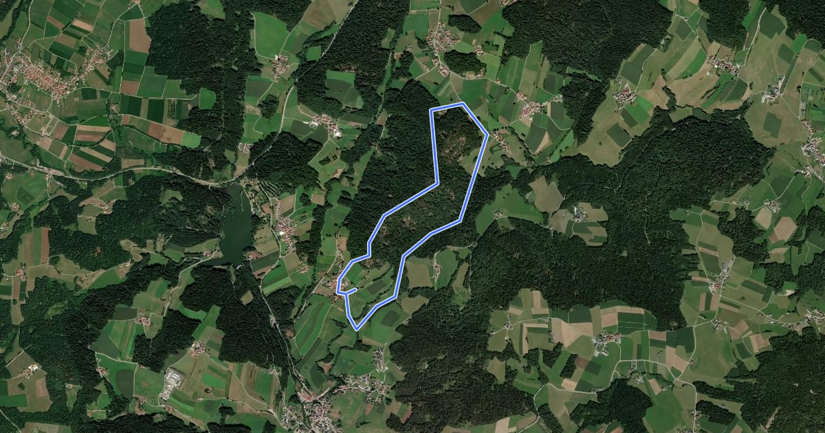 Маршрут Bärnlochweg на спутниковом снимке