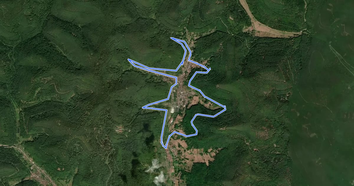 Маршрут Bürstenbinderweg на спутниковом снимке