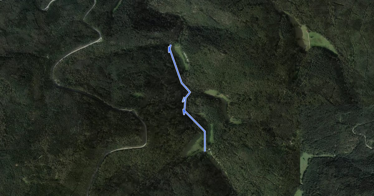 Маршрут Bütthof - Neubrücke на спутниковом снимке