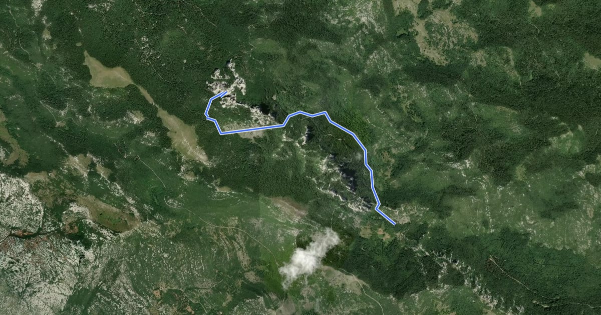 Маршрут Bačić kuk iz Ravnog Dabra preko Bačić dulibe i Ripinovca на спутниковом снимке