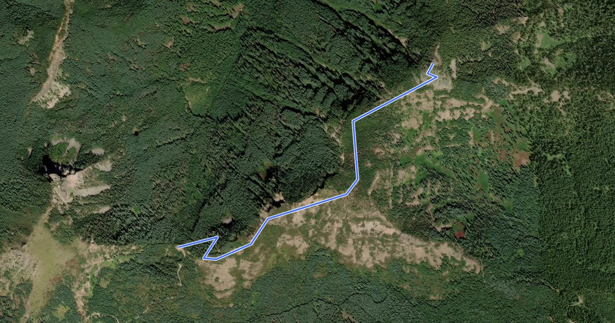 Маршрут Bachelor Mountain Trail на спутниковом снимке