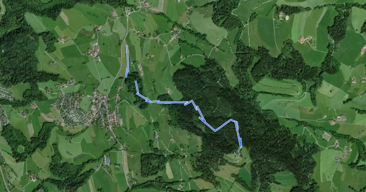 Маршрут Bachtel Trail на спутниковом снимке