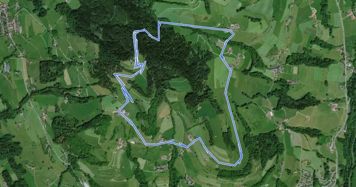 Маршрут Bachtelweiher на спутниковом снимке