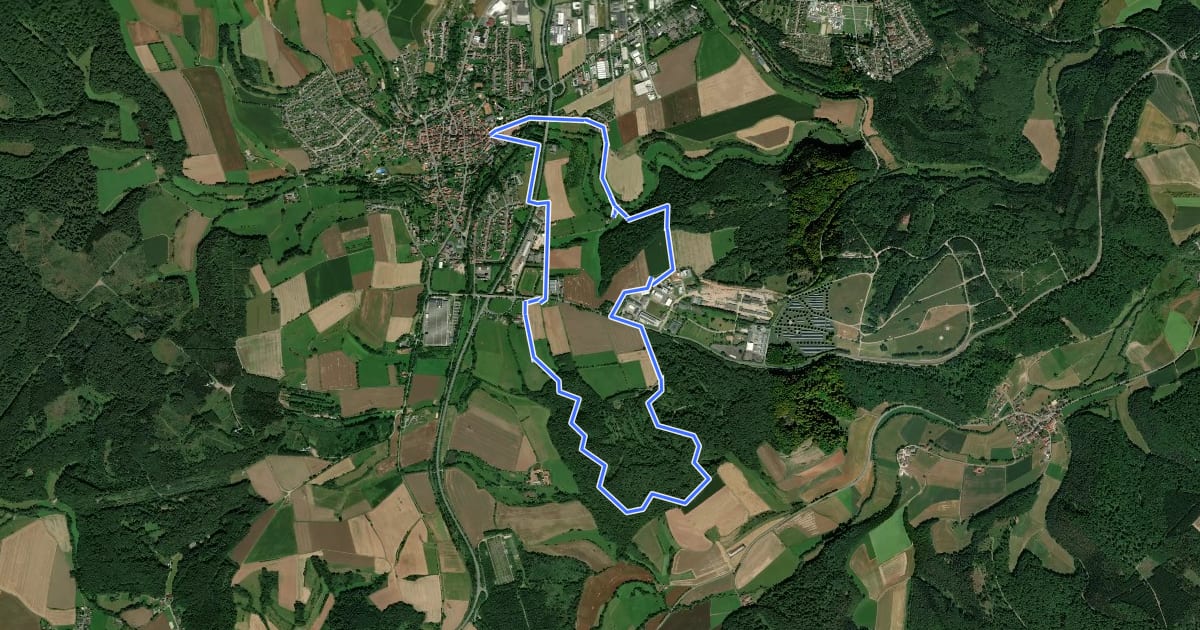 Маршрут Bad Arolsen Wanderweg M10 на спутниковом снимке