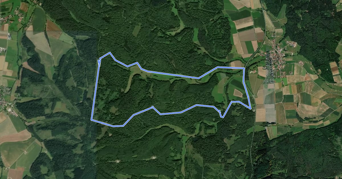 Маршрут Bad Arolsen Wanderweg S1 на спутниковом снимке