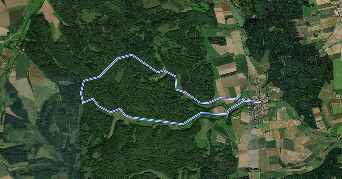 Маршрут Bad Arolsen Wanderweg S2 на спутниковом снимке