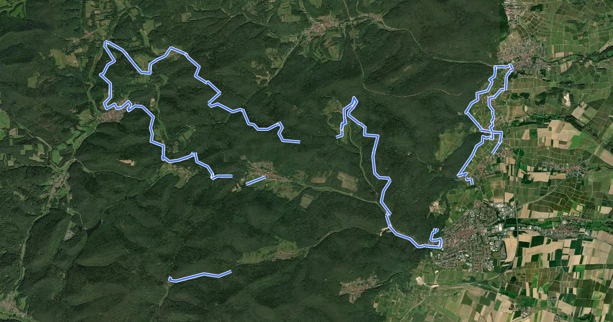 Маршрут Bad Bergzaberner Landweg на спутниковом снимке