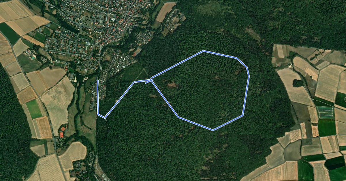 Маршрут Bad Emstal, E12 - Kuppenweg на спутниковом снимке