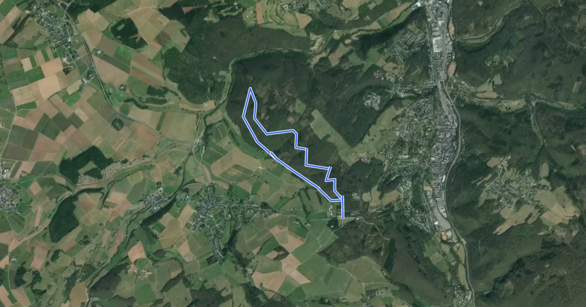 Маршрут Bad Münstereifel 11 на спутниковом снимке