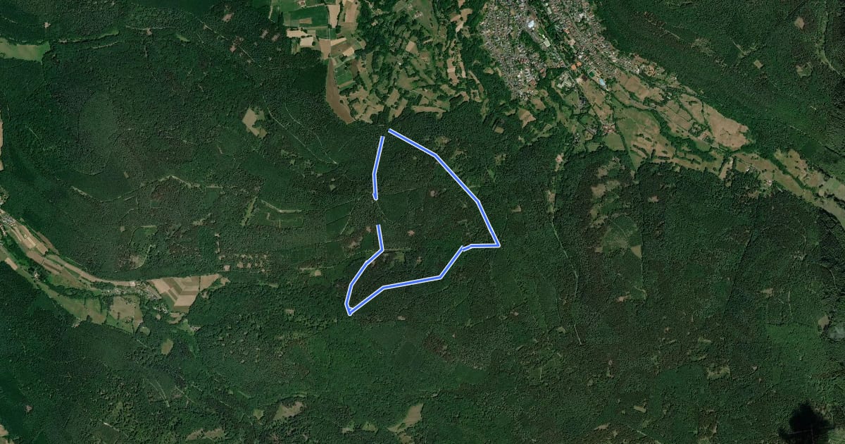 Маршрут Bad Orb Rundwanderweg 14 (Feuchtbiotop Eschenkar) на спутниковом снимке