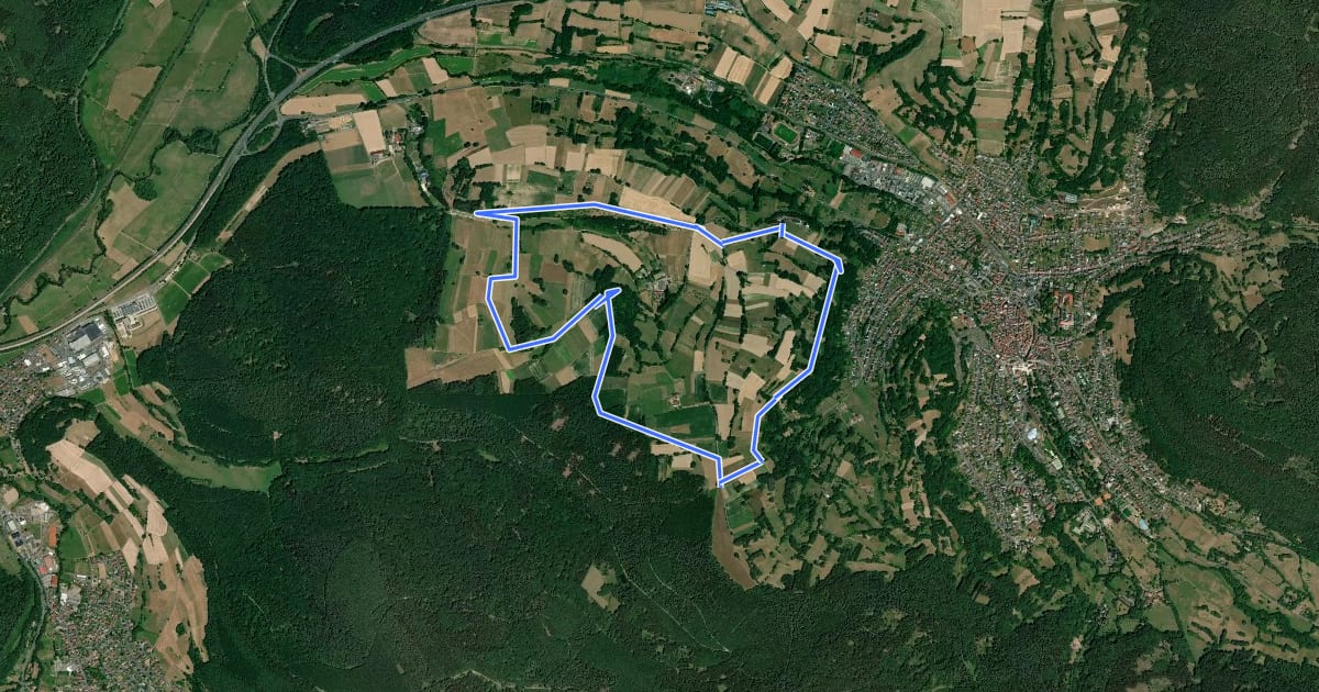 Маршрут Bad Orb Rundwanderweg 16 Bad Orber Fernsicht на спутниковом снимке