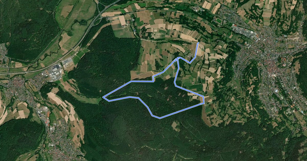Маршрут Bad Orb Rundwanderweg 17 (Kapellenrunde) на спутниковом снимке