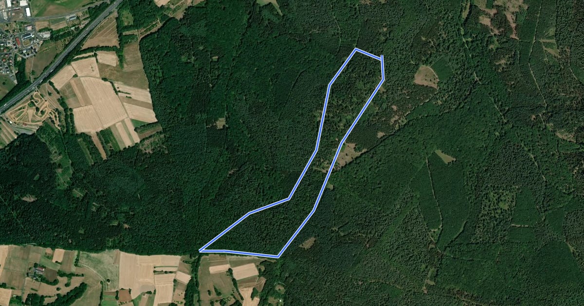Маршрут Bad Orb Rundwanderweg 2 Grenzsteinweg на спутниковом снимке