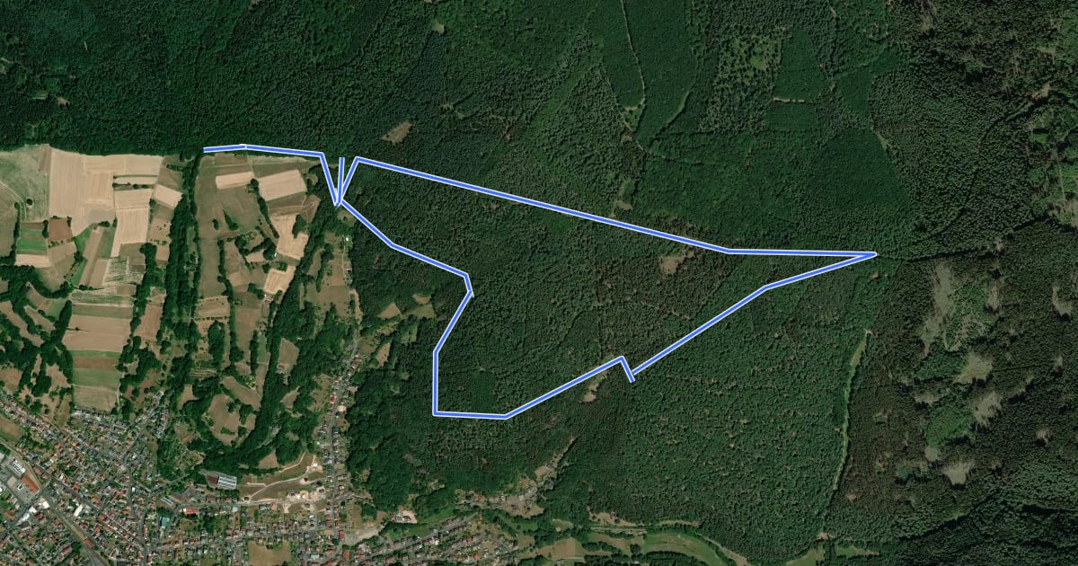 Маршрут Bad Orb Rundwanderweg 3 (Mainzer Rad) на спутниковом снимке