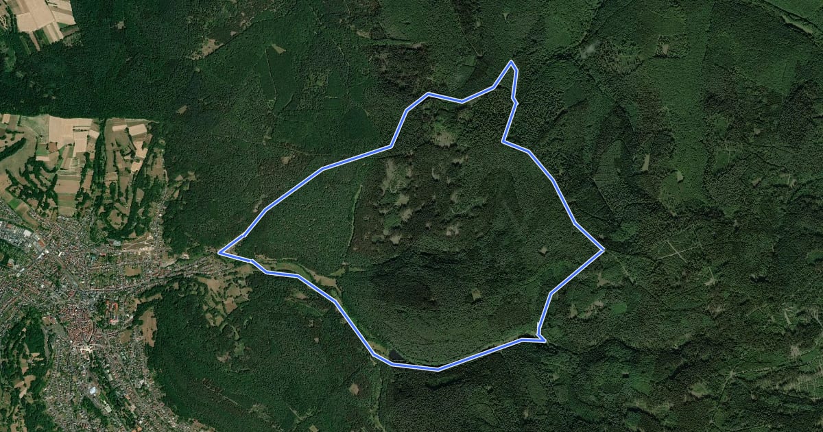 Маршрут Bad Orb Rundwanderweg 4 (Bildeichenweg) на спутниковом снимке
