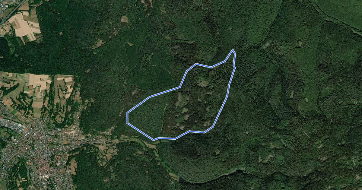 Маршрут Bad Orb, Rundwanderweg Walterschanzengrund на спутниковом снимке