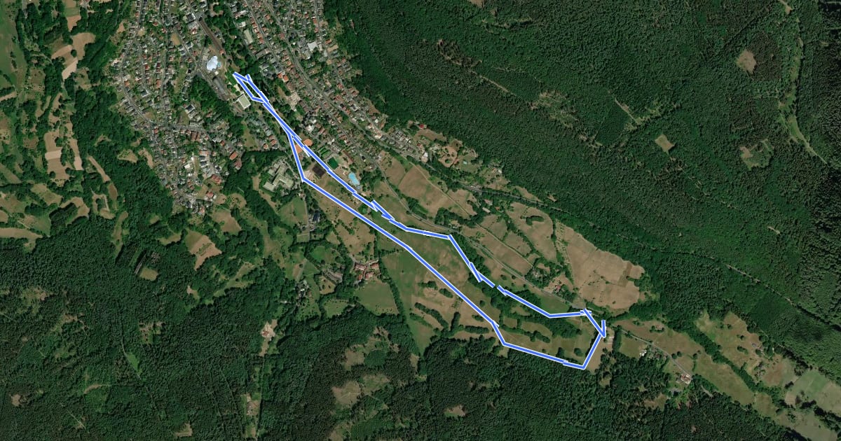 Маршрут Bad Orb Terainkurweg 33 (Zum Wildpark) на спутниковом снимке