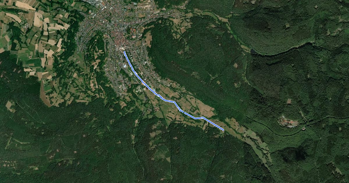 Маршрут Bad Orb Zubringerweg 24 (Wildpark) на спутниковом снимке
