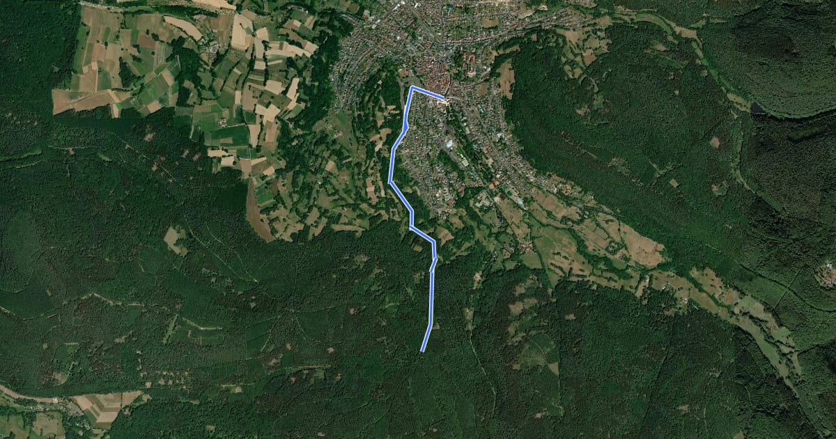 Маршрут Bad Orb Zubringerweg 25 (Friesenheiligen) на спутниковом снимке