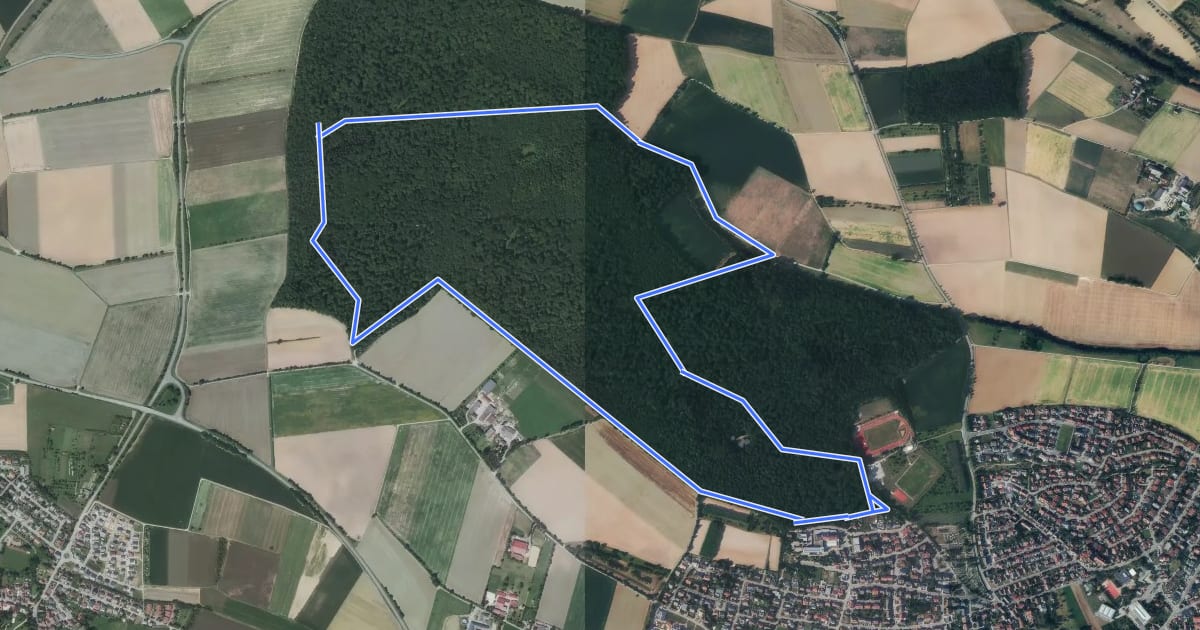 Маршрут Bad Rappenau Rundwanderweg 2: Sommerberg-Weg на спутниковом снимке