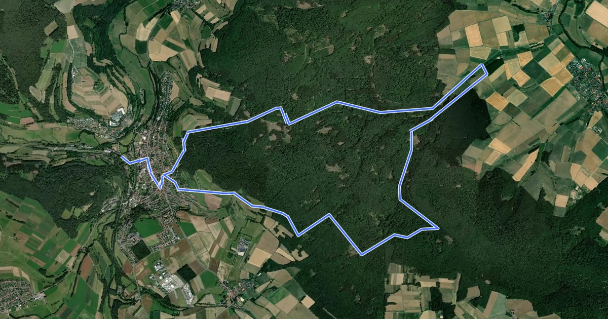 Маршрут Bad Salzschlirf Rhön 1 на спутниковом снимке