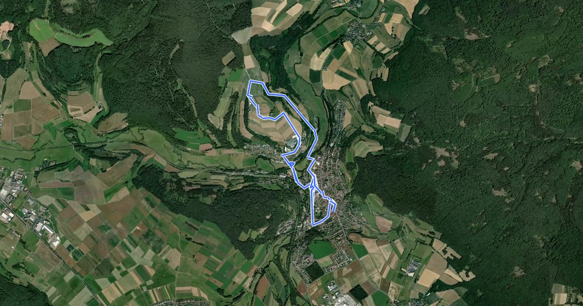 Маршрут Bad Salzschlirf-Rundweg на спутниковом снимке