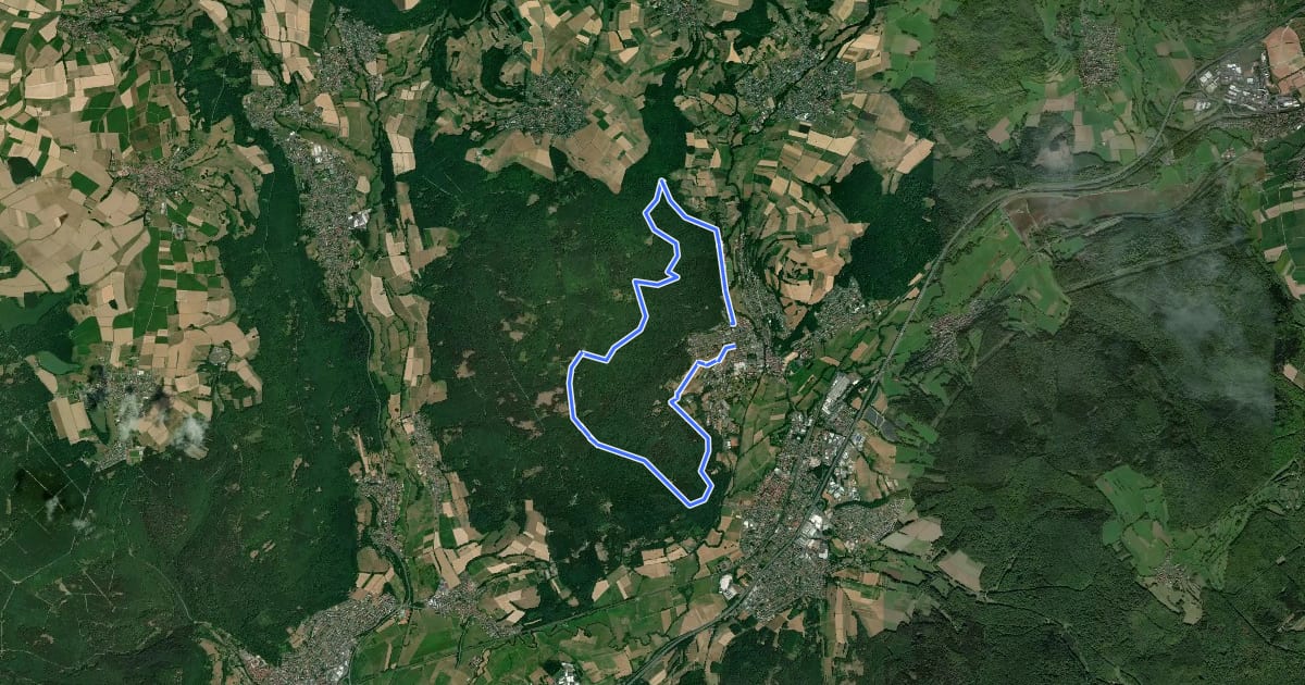 Маршрут Bad Soden-Salmünster Wanderweg "Blaues Kreuz" на спутниковом снимке