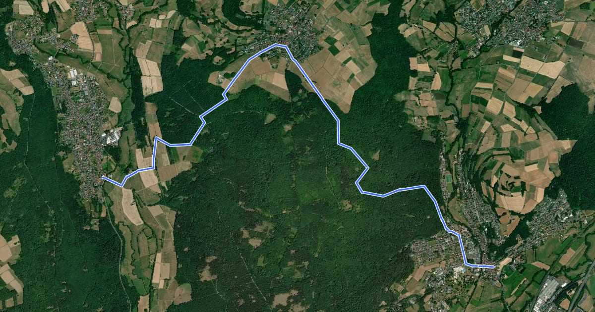 Маршрут Bad Soden-Salmünster Wanderweg Nr. 5 на спутниковом снимке