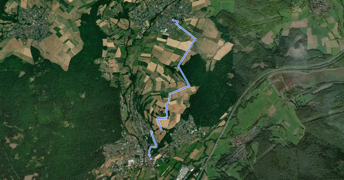 Маршрут Bad Soden-Salmünster Wanderweg Nr. 9 на спутниковом снимке