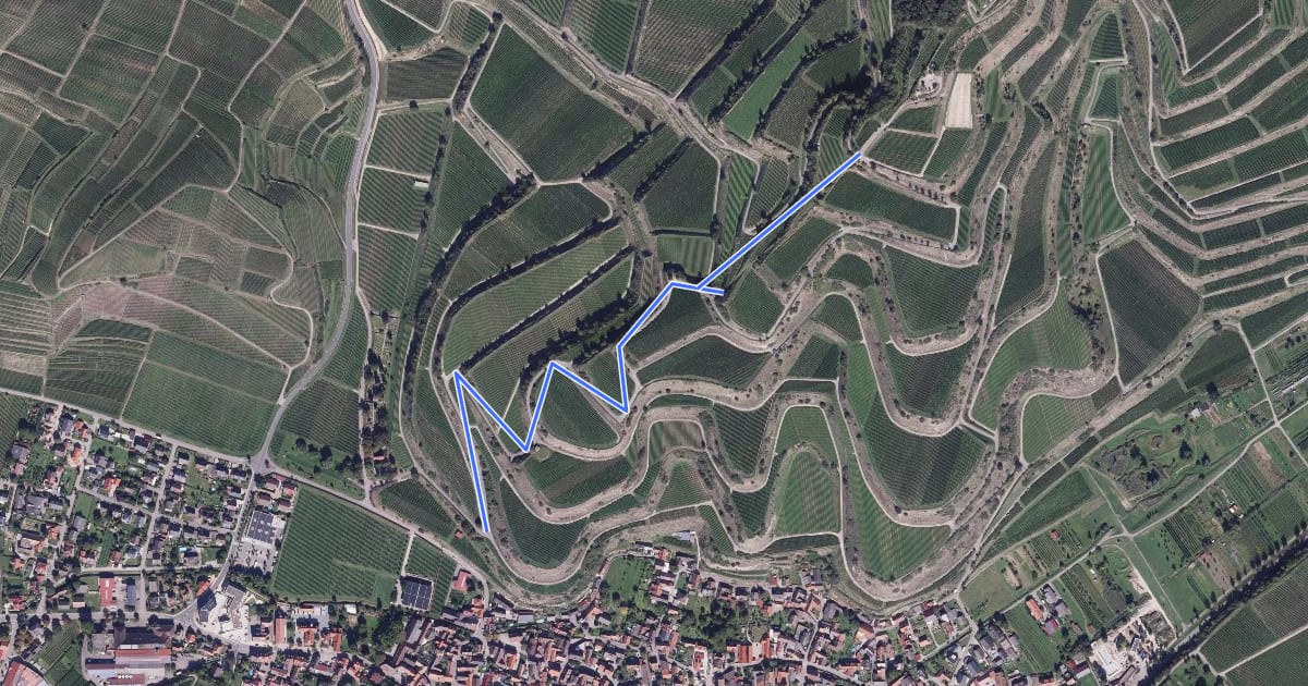 Маршрут Badenberg - Panoramaweg на спутниковом снимке