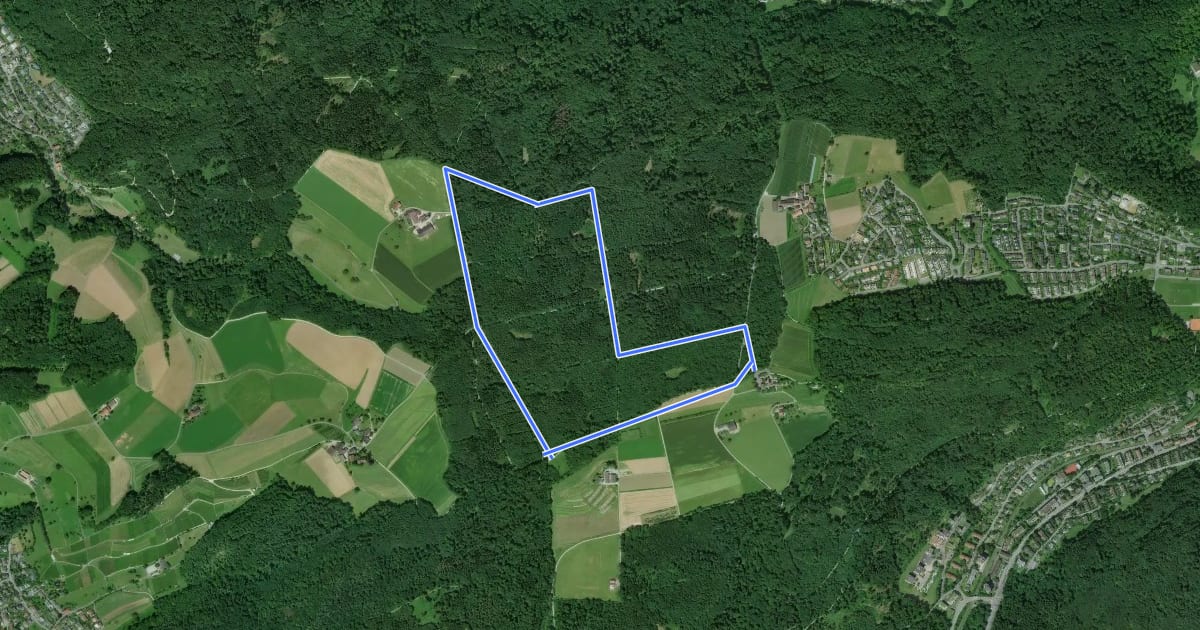 Маршрут Badener Running Walking Trail Kurz на спутниковом снимке