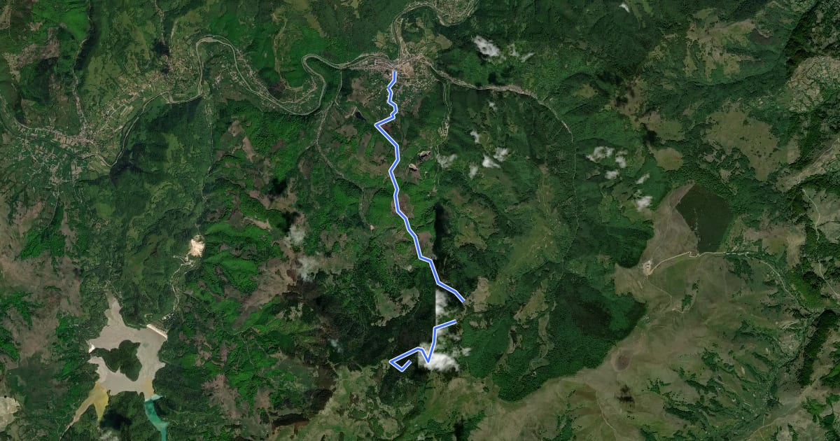 Маршрут Baia de Arieș - Vf. Poienița на спутниковом снимке