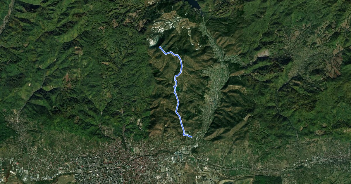 Маршрут Baia Mare - Valea Vicleanul Mare - Lacul Bodi - Vârful Strâmba - Piatra Șoimului на спутниковом снимке