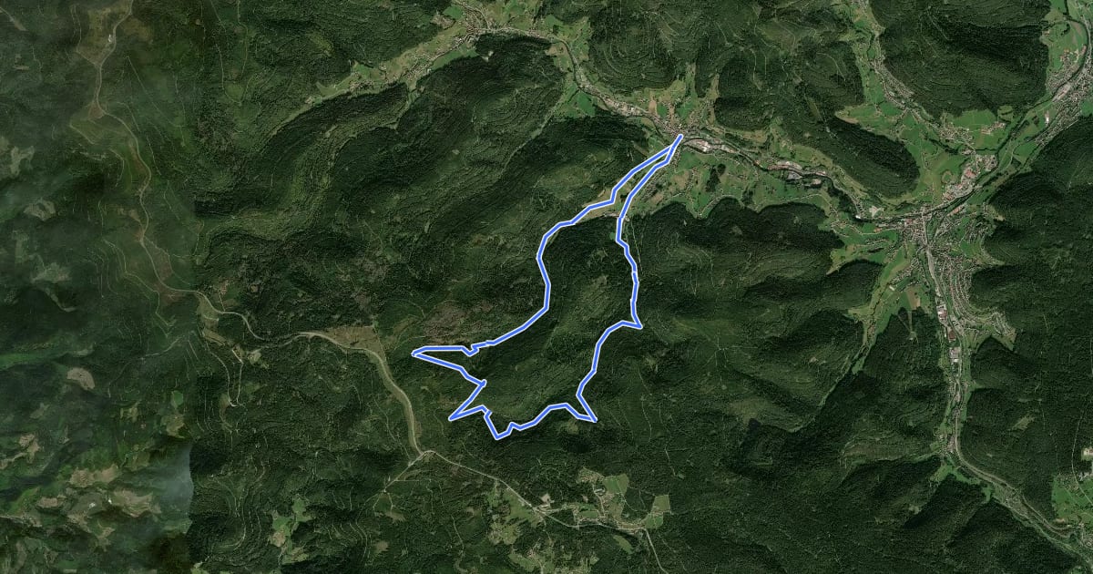 Маршрут Baiersbronner Himmelsweg: Naturgewalten-Tour на спутниковом снимке