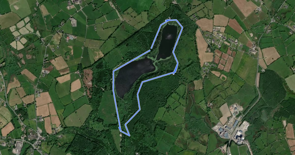 Маршрут Bailieborough Castle Lake Loop (PJ's Way) на спутниковом снимке