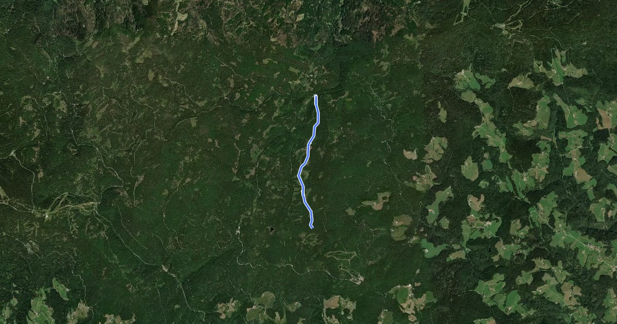 Маршрут Bajgot - Črno jezero на спутниковом снимке