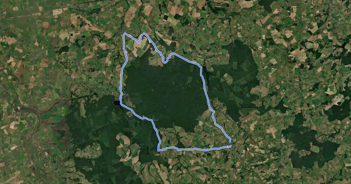Маршрут Balade en forêt de Tronçais на спутниковом снимке