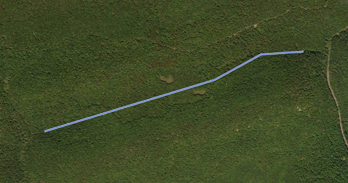 Маршрут Bald Eagle - Horseshoe Bend на спутниковом снимке