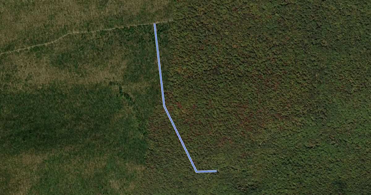 Маршрут Bald Eagle - Johnson Trail на спутниковом снимке