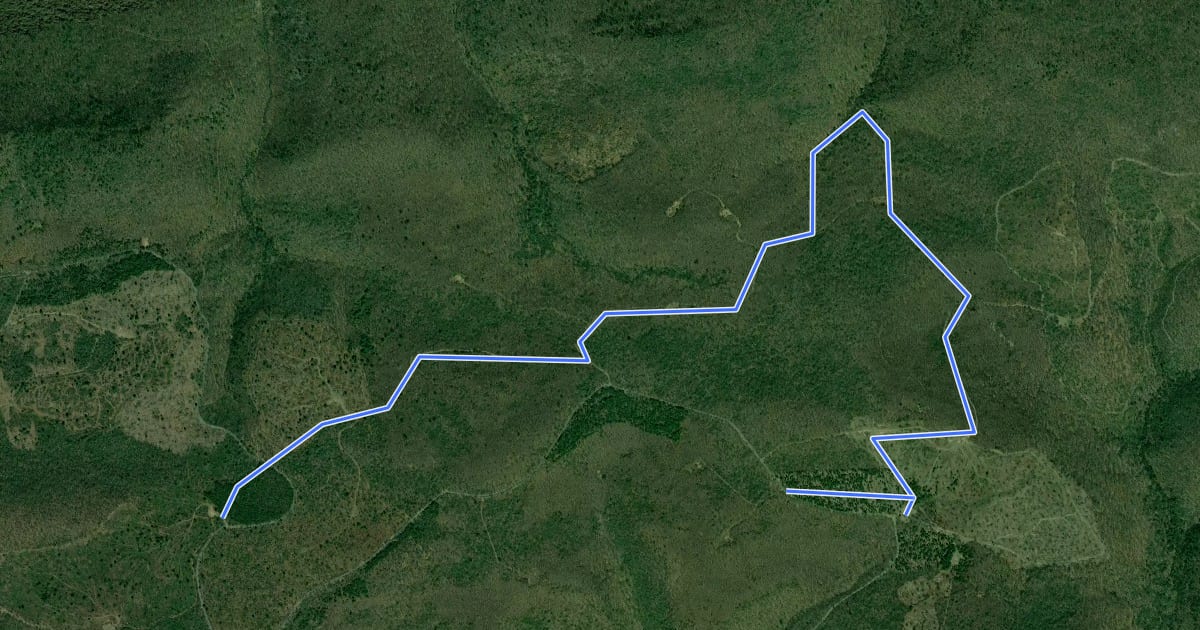 Маршрут Bald Eagle - Lick Run на спутниковом снимке