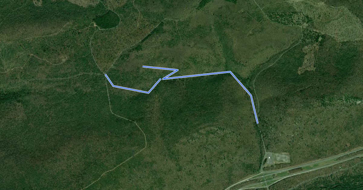 Маршрут Bald Eagle - Mile Run на спутниковом снимке