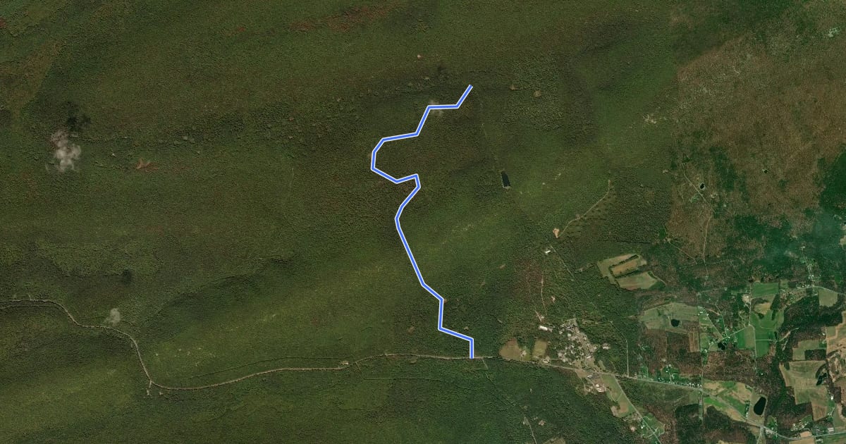 Маршрут Bald Eagle - Stitzer Gap на спутниковом снимке