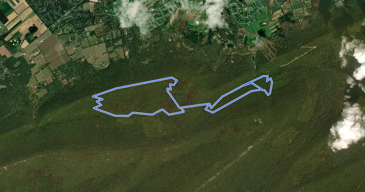 Маршрут Bald Knob Maguire Loop на спутниковом снимке