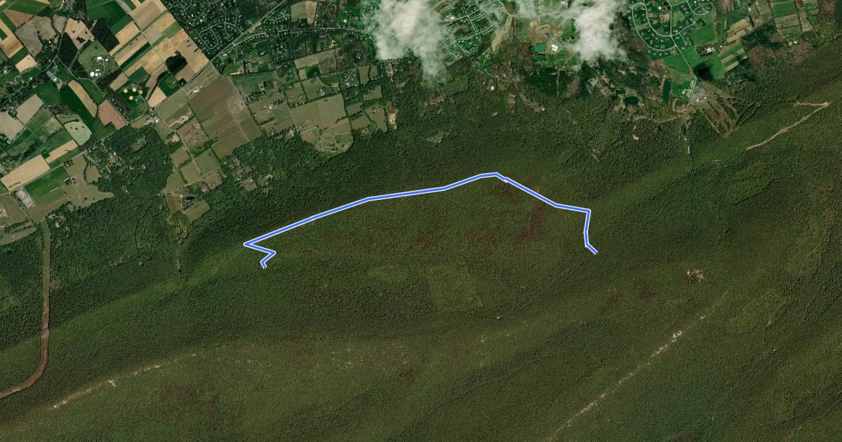 Маршрут Bald Knob Ridge Trail на спутниковом снимке