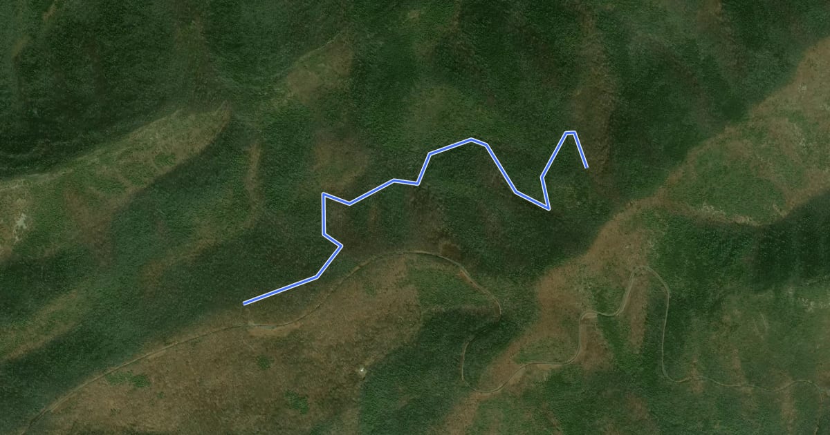 Маршрут Bald Mountain Overlook Trail на спутниковом снимке