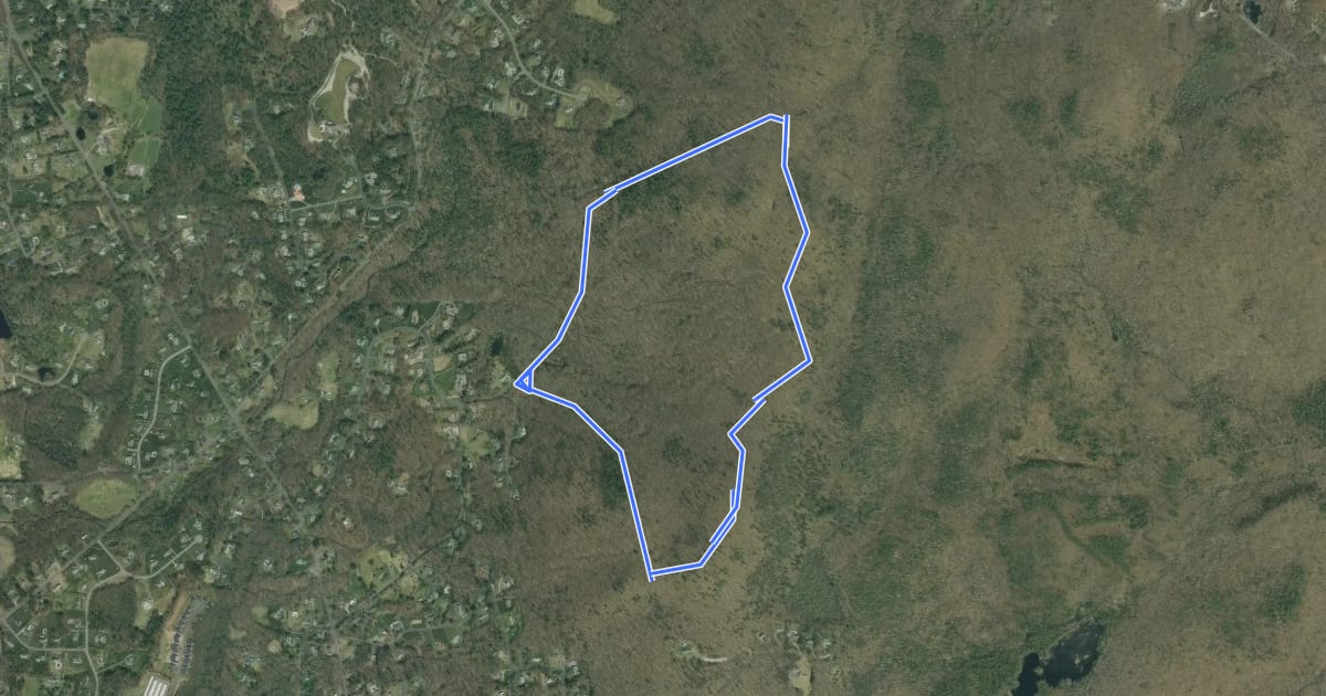 Маршрут Bald Mountain Red Trail на спутниковом снимке