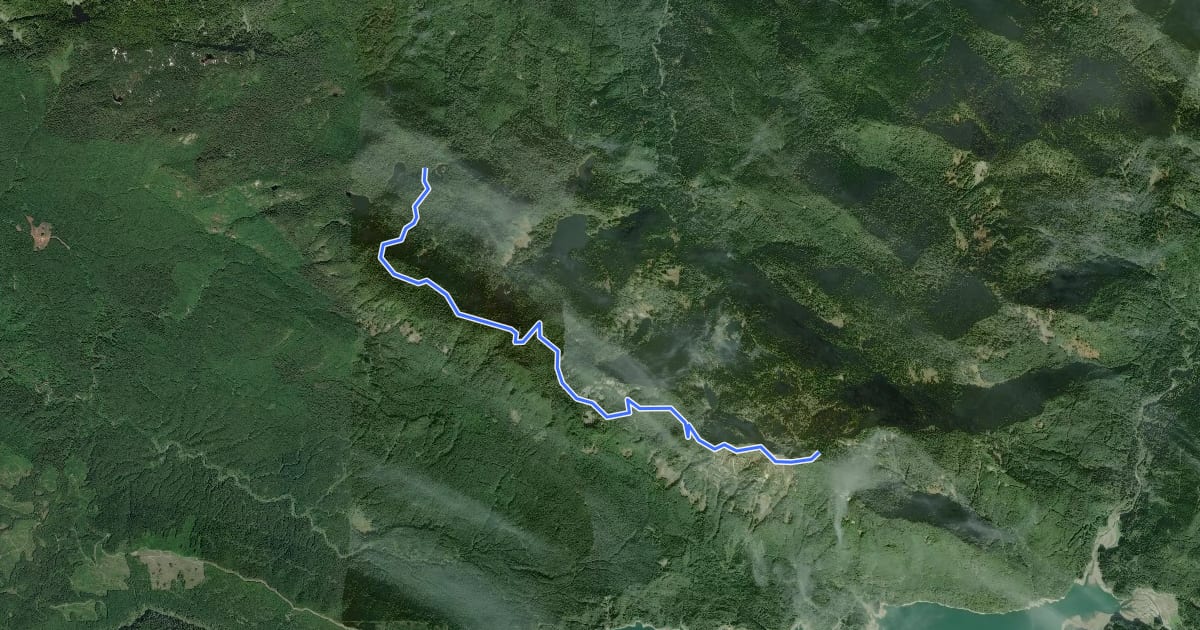 Маршрут Bald Mountain Ridge Trail на спутниковом снимке