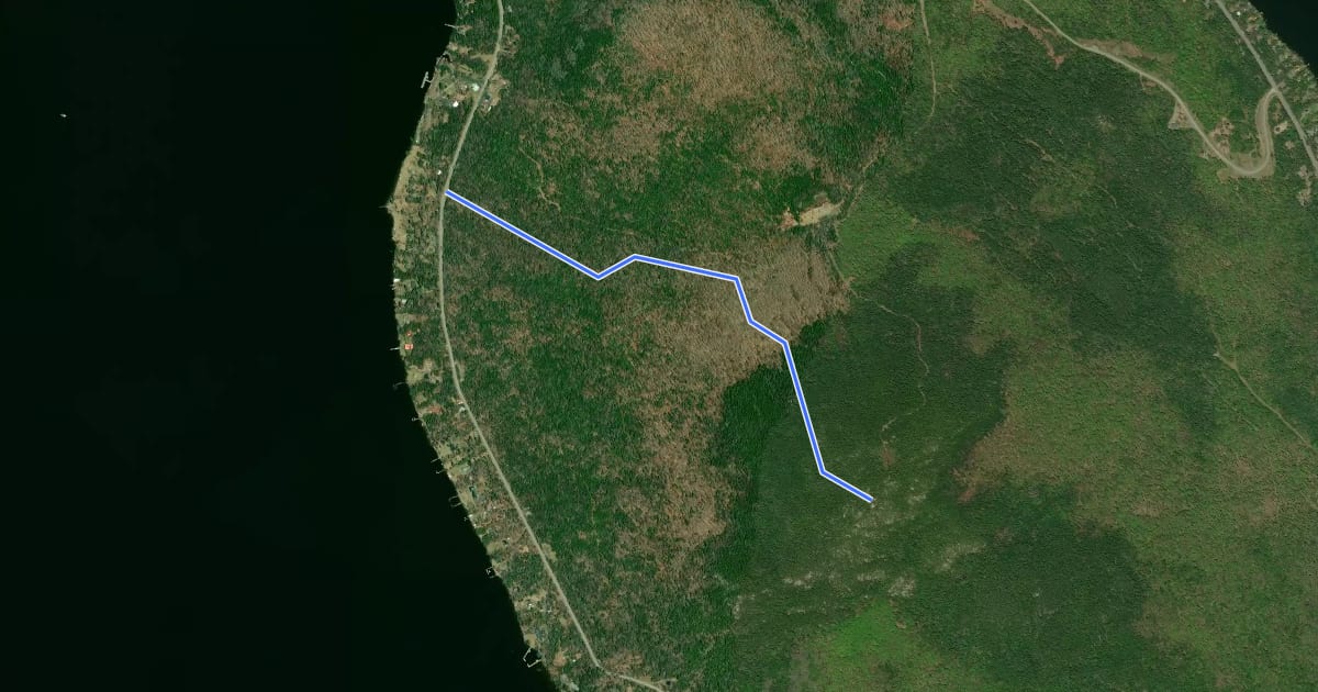 Маршрут Bald Mountain Trail на спутниковом снимке