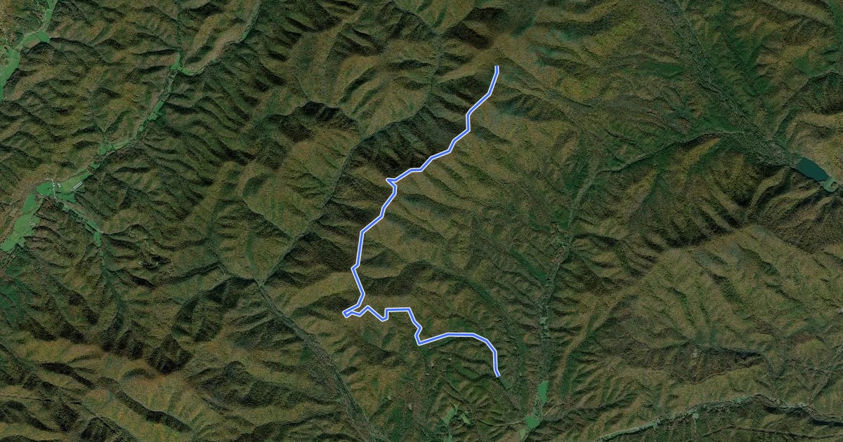 Маршрут Bald Ridge Trail на спутниковом снимке